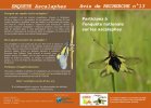 Plaquette ascalaphe page 1